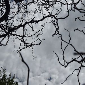 Meet your Posher, Anushree